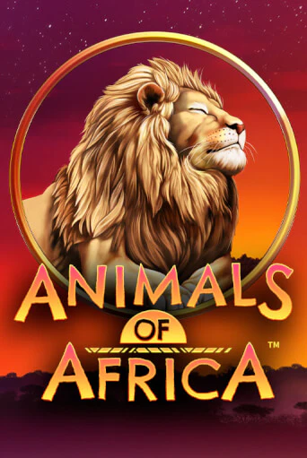 Animals of Africa ™ играть демо версию | VAVADA без регистрации