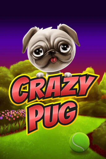 Crazy Pug играть демо версию | VAVADA без регистрации