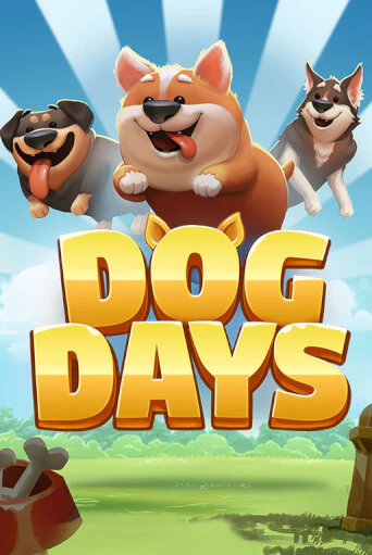 Dog Days играть демо версию | VAVADA без регистрации