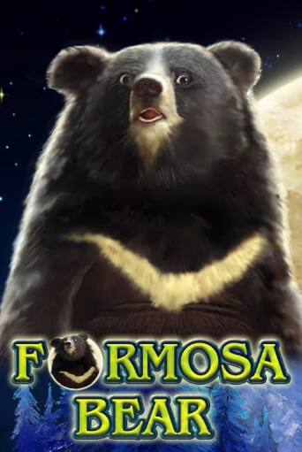 Formosa Bear играть демо версию | VAVADA без регистрации