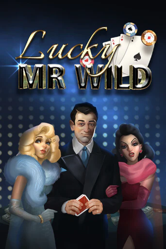 Lucky Mr Wild играть демо версию | VAVADA без регистрации