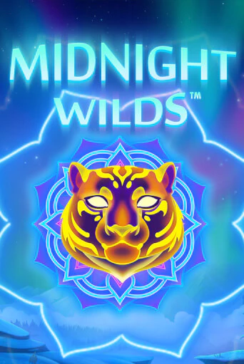 Midnight Wild играть демо версию | VAVADA без регистрации