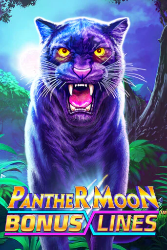 Panther Moon: Bonus Lines™ играть демо версию | VAVADA без регистрации