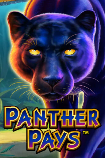 Panther Pays играть демо версию | VAVADA без регистрации