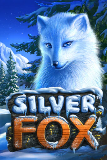 Silver Fox играть демо версию | VAVADA без регистрации