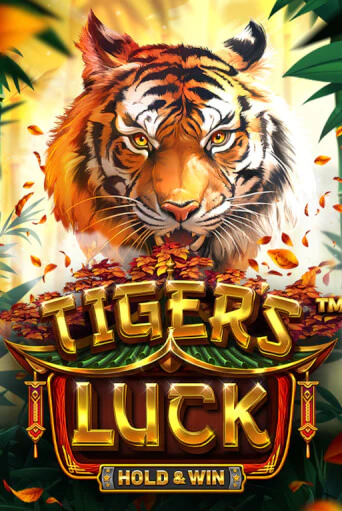 Tiger's Luck - Hold & Win играть демо версию | VAVADA без регистрации