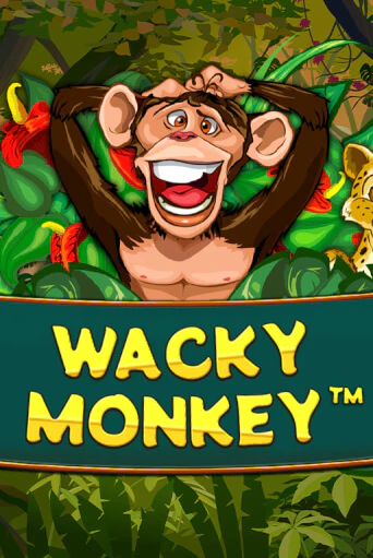 Wacky Monkey играть демо версию | VAVADA без регистрации