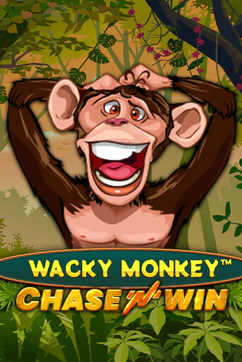 Wacky Monkey - Chase'N'Win играть демо версию | VAVADA без регистрации