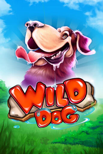 Wild Dog играть демо версию | VAVADA без регистрации