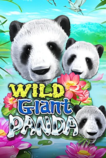 Wild Giant Panda играть демо версию | VAVADA без регистрации