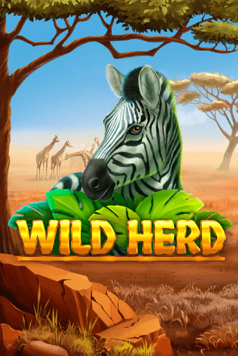 Wild Herd играть демо версию | VAVADA без регистрации