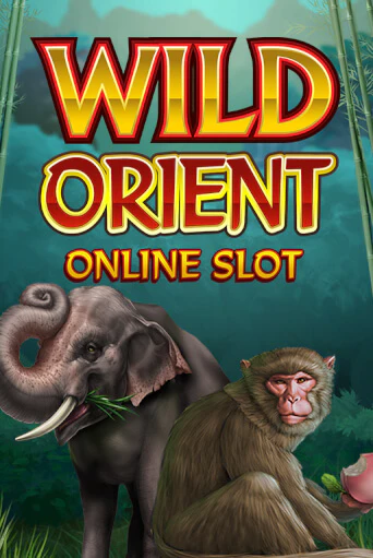 Wild Orient играть демо версию | VAVADA без регистрации