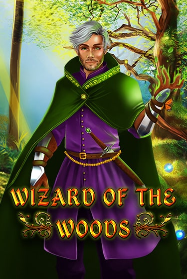 Wizard of the Woods играть демо версию | VAVADA без регистрации