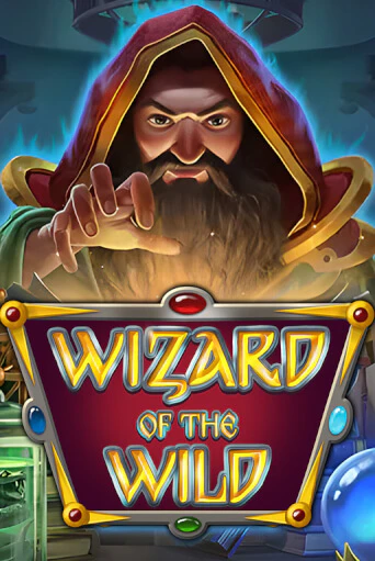 Wizard of the Wild играть демо версию | VAVADA без регистрации