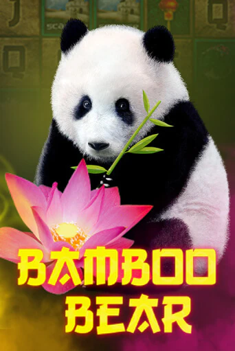 Bamboo Bear играть демо версию | VAVADA без регистрации