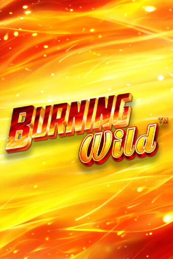 Burning Wild играть демо версию | VAVADA без регистрации