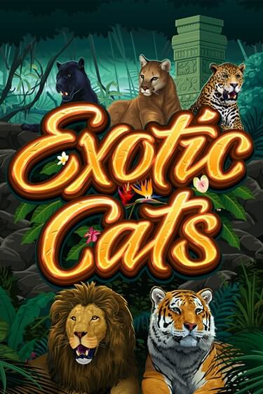 Exotic Cats играть демо версию | VAVADA без регистрации