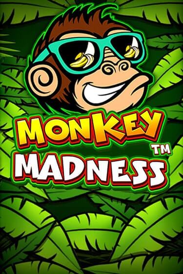 Monkey Madness играть демо версию | VAVADA без регистрации