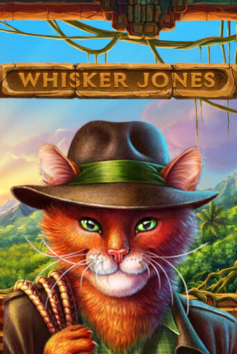 Whisker Jones играть демо версию | VAVADA без регистрации