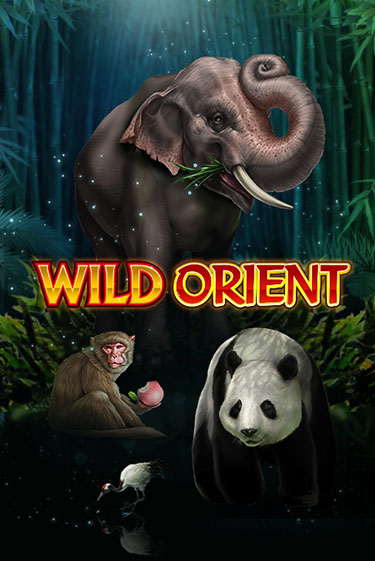 Wild Orient играть демо версию | VAVADA без регистрации